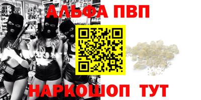 стаф Кимры